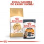 Royal Canin Sphynx Adult karma sucha dla kotów dorosłych rasy sfinks 2kg - 6