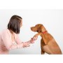 Pet Head Paw & Body Wipes chusteczki do pielęgnacji 50szt - 4