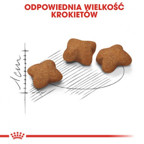 Royal Canin Kitten Sterilised karma sucha dla kociąt od 4 do 12 miesiąca życia, sterylizowanych 3,5kg - 6