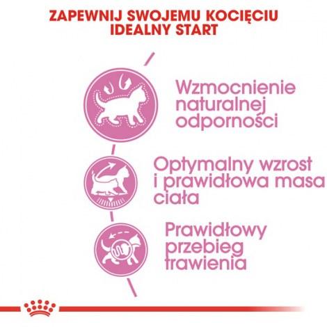 Royal Canin Kitten Sterilised karma sucha dla kociąt od 4 do 12 miesiąca życia, sterylizowanych 3,5kg - 5