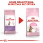 Royal Canin Kitten Sterilised karma sucha dla kociąt od 4 do 12 miesiąca życia, sterylizowanych 3,5kg - 4