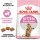 Royal Canin Kitten Sterilised karma sucha dla kociąt od 4 do 12 miesiąca życia, sterylizowanych 3,5kg
