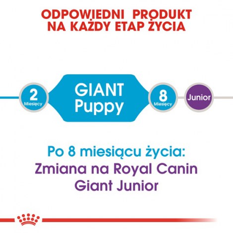 Royal Canin Giant Puppy karma sucha dla szczeniąt, od 2 do 8 miesiąca życia, ras olbrzymich 15kg - 4