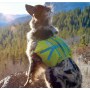 Outward Hound Crest Stone Explore Pack plecak dla psa small/medium [22077] - 3