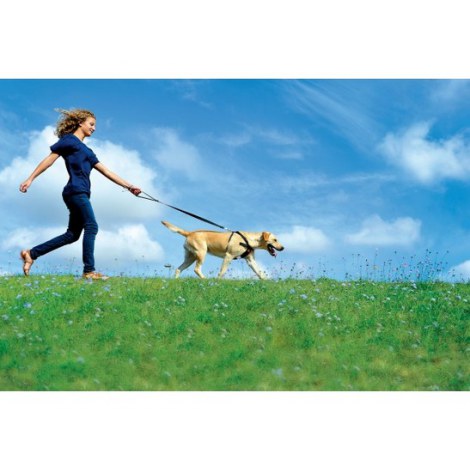 Zolux Szelki bezpieczeństwa dla psów rozmiar L [403330] - 3