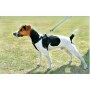 Zolux Szelki bezpieczeństwa dla psów rozmiar M [403325] - 5