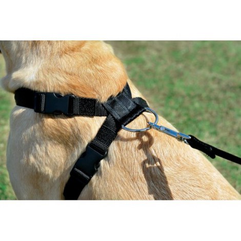 Zolux Szelki bezpieczeństwa dla psów rozmiar XL [403335] - 4