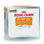 Royal Canin Nutritional Supplement Energy zdrowy przysmak dla psów dorosłych, aktywnych 50g - 3