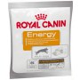 Royal Canin Nutritional Supplement Energy zdrowy przysmak dla psów dorosłych, aktywnych 50g - 2