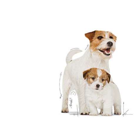 Royal Canin Starter Mother&Babydog karma mokra - mus, dla suk w czasie ciąży, laktacji oraz szczeniąt puszka 195g - 5