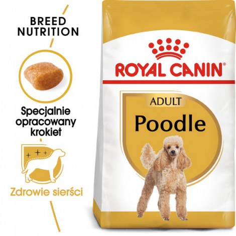 Royal Canin Poodle Adult karma sucha dla psów dorosłych rasy pudel miniaturowy 1,5kg