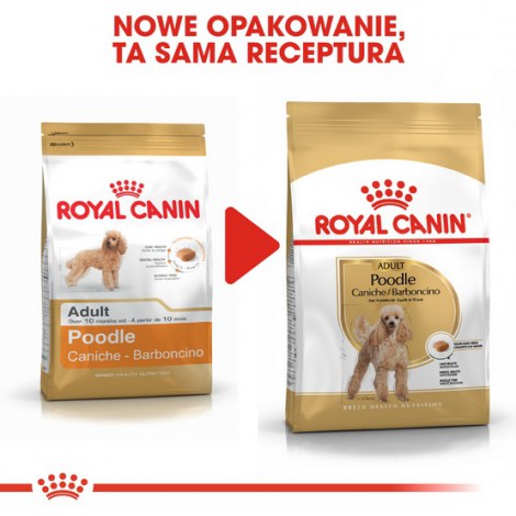 Royal Canin Poodle Adult karma sucha dla psów dorosłych rasy pudel miniaturowy 1,5kg - 3