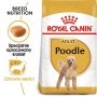 Royal Canin Poodle Adult karma sucha dla psów dorosłych rasy pudel miniaturowy 1,5kg - 2