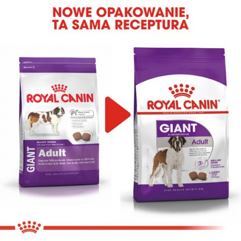 Royal Canin Giant Adult karma sucha dla psów dorosłych, od 18/24 miesiąca życia, ras olbrzymich 15kg - 3