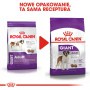 Royal Canin Giant Adult karma sucha dla psów dorosłych, od 18/24 miesiąca życia, ras olbrzymich 15kg - 4