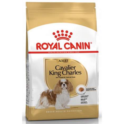 Royal Canin Cavalier King Charles Adult karma sucha dla psów dorosłych rasy cavalier king charles spaniel 1,5kg - 3