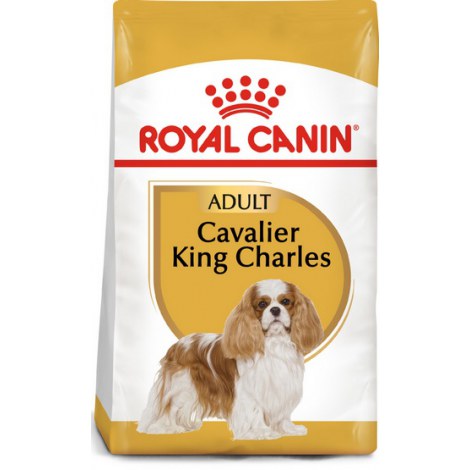 Royal Canin Cavalier King Charles Adult karma sucha dla psów dorosłych rasy cavalier king charles spaniel 1,5kg - 2