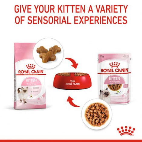 Royal Canin Kitten w sosie karma mokra dla kociąt do 12 miesiąca życia saszetka 85g - 4