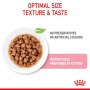 Royal Canin Kitten w sosie karma mokra dla kociąt do 12 miesiąca życia saszetka 85g - 4