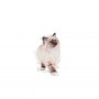 Royal Canin Kitten w sosie karma mokra dla kociąt do 12 miesiąca życia saszetka 85g - 6