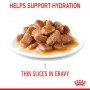 Royal Canin Hair & Skin Care w sosie  karma mokra dla kotów dorosłych, zdrowa skóra, piękna sierść saszetka 85g - 3