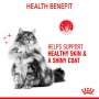 Royal Canin Hair & Skin Care w sosie  karma mokra dla kotów dorosłych, zdrowa skóra, piękna sierść saszetka 85g - 4