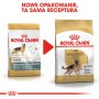 Royal Canin German Shepherd Adult karma sucha dla psów dorosłych rasy owczarek niemiecki 11kg - 5