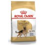Royal Canin German Shepherd Adult karma sucha dla psów dorosłych rasy owczarek niemiecki 11kg - 4
