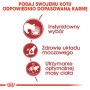 Royal Canin Instinctive w galaretce karma mokra dla kotów dorosłych, wybrednych saszetka 85g - 5