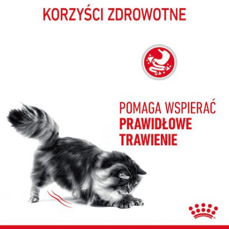 Royal Canin Digestive Care karma mokra w sosie dla kotów dorosłych, wrażliwy przewód pokarmowy saszetka 85g - 3