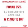 Royal Canin Digestive Care karma mokra w sosie dla kotów dorosłych, wrażliwy przewód pokarmowy saszetka 85g - 3