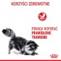 Royal Canin Digestive Care karma mokra w sosie dla kotów dorosłych, wrażliwy przewód pokarmowy saszetka 85g - 4