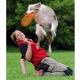 Trixie Rzutka dla psa Dog Activity 23cm [33562] - 4