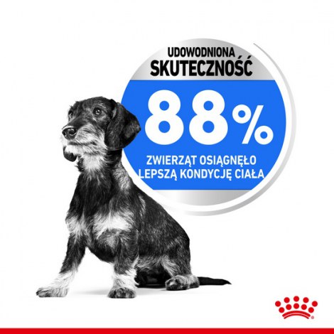 Royal Canin Mini Light Weight Care karma sucha dla psów dorosłych, ras małych z tendencją do nadwagi 3kg - 4