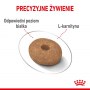 Royal Canin Mini Light Weight Care karma sucha dla psów dorosłych, ras małych z tendencją do nadwagi 3kg - 6