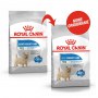 Royal Canin Mini Light Weight Care karma sucha dla psów dorosłych, ras małych z tendencją do nadwagi 3kg - 3