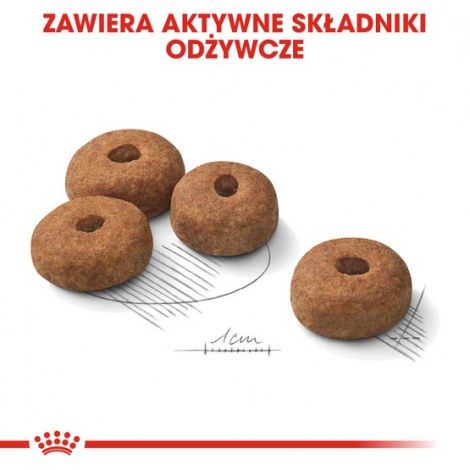 Royal Canin Maxi Sterilised karma sucha dla psów dorosłych, ras dużych, sterylizowanych 9kg - 5
