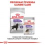 Royal Canin Maxi Sterilised karma sucha dla psów dorosłych, ras dużych, sterylizowanych 9kg - 7