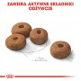 Royal Canin Maxi Sterilised karma sucha dla psów dorosłych, ras dużych, sterylizowanych 9kg - 6