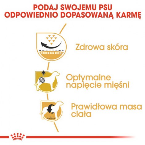 Royal Canin Pug Adult karma sucha dla psów dorosłych rasy mops 1,5kg - 5