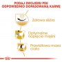 Royal Canin Pug Adult karma sucha dla psów dorosłych rasy mops 1,5kg - 6