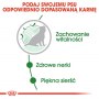 Royal Canin Mini Ageing 12+ karma mokra w sosie dla psów dojrzałych po 12 roku życia, ras małych saszetka 85g - 5