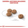 Royal Canin Mini Sterilised karma sucha dla psów dorosłych, ras małych, sterylizowanych 1kg - 6