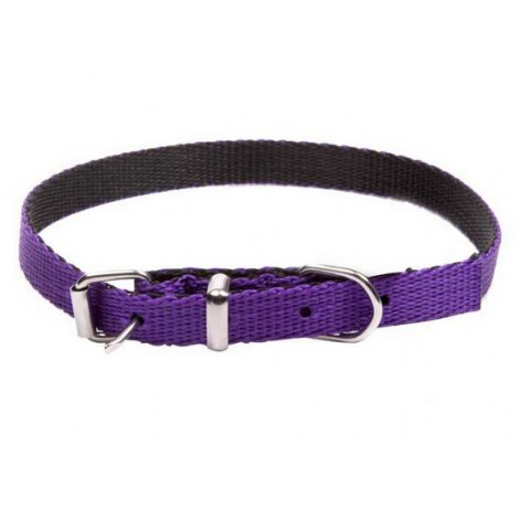 Dingo Obroża taśma Energy 1,2cm/30cm fioletowa