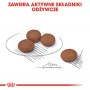 Royal Canin Mini Digestive Care karma sucha dla psów dorosłych, ras małych o wrażliwym przewodzie pokarmowym 3kg - 6