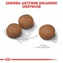 Royal Canin Medium Digestive Care karma sucha dla psów dorosłych, ras średnich o wrażliwym przewodzie pokarmowym 10kg - 6