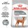 Royal Canin Medium Dental Care karma sucha dla psów dorosłych ras średnich redukująca kamień nazębny 3kg