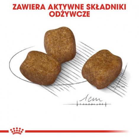 Royal Canin Mini Dental Care karma sucha dla psów dorosłych, ras małych, redukująca powstawanie kamienia nazębnego 3kg - 4