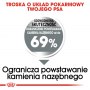 Royal Canin Mini Dental Care karma sucha dla psów dorosłych, ras małych, redukująca powstawanie kamienia nazębnego 3kg - 4