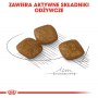 Royal Canin Mini Relax Care karma sucha dla psów dorosłych, ras małych, narażonych na działanie stresu 8kg - 5